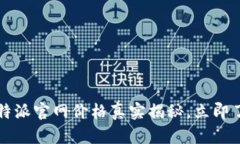 2025必看：B特派官网价格真