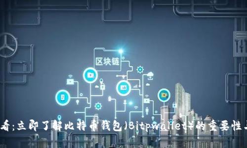 2025必看：立即了解比特币钱包（Bitpwallet）的重要性与安全性