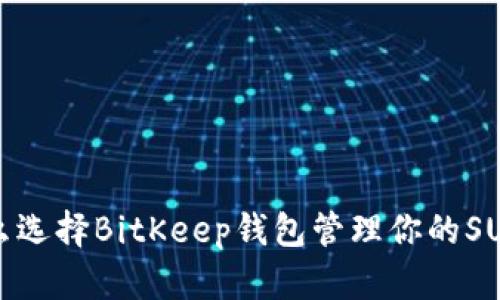 2025必看：为什么选择BitKeep钱包管理你的SUI资产？立即了解！