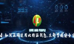 2025必看：如何正确使用比