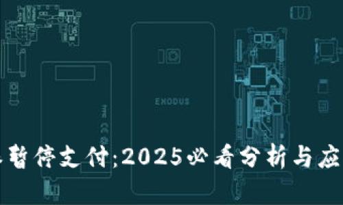 比特派暂停支付：2025必看分析与应对策略