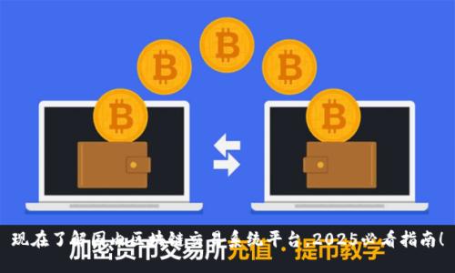 现在了解国内区块链交易系统平台，2025必看指南！