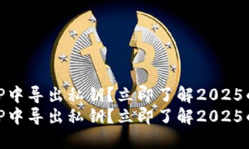 如何在BitP中导出私钥？立即了解2025的安全技巧
如何在BitP中导出私钥？立即了解2025的安全技巧