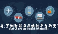 2025必看：罗湖智能云区块