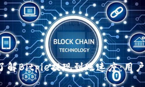 2023年立即了解Bitpie提现到账速度：用户真实体验分享