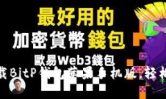 2025必看！立即下载BitP钱包