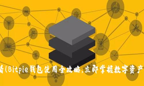 2025必看！Bitpie钱包使用全攻略，立即掌握数字资产管理技巧