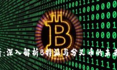 2025必看：深入解析B特派与