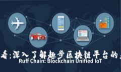 2025必看：深入了解趣步区