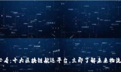 2025必看：十大区块链航运