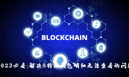 2023必看：解决B特派钱包明细无法查看的问题