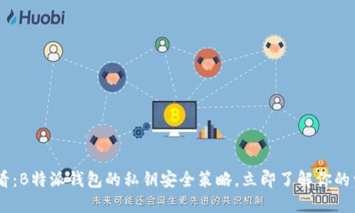 ## 2025必看：B特派钱包的私钥安全策略，立即了解你的资产如何保值！