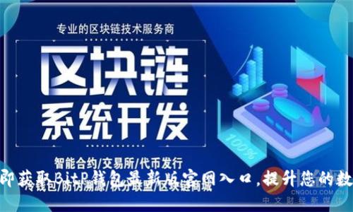 2025必看：立即获取BitP钱包最新版官网入口，提升您的数字资产安全性