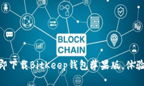 2025必看！立即下载BitKeep钱包萍果版，体验区块链新世界