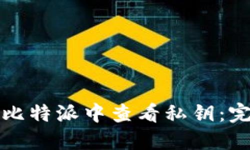 如何在比特派中查看私钥：完整指南