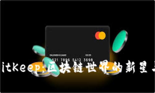 波场企鹅BitKeep：区块链世界的新星与探索之旅