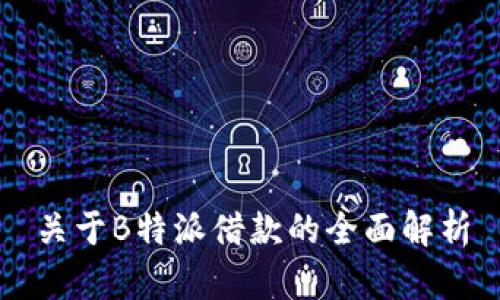 关于B特派借款的全面解析