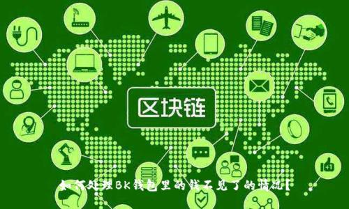 如何处理BK钱包里的钱不见了的情况？