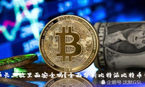 比特派大量币长期放里面安全吗？全面分析比特派比特币钱包的安全性