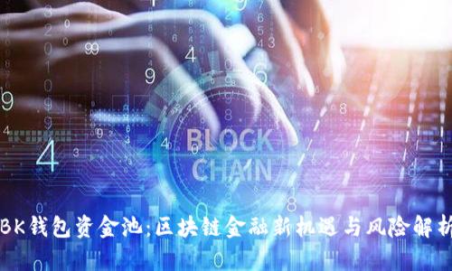 BK钱包资金池：区块链金融新机遇与风险解析