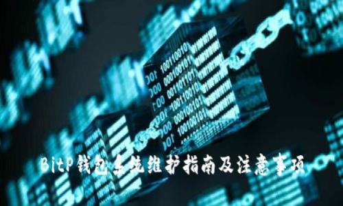 BitP钱包系统维护指南及注意事项