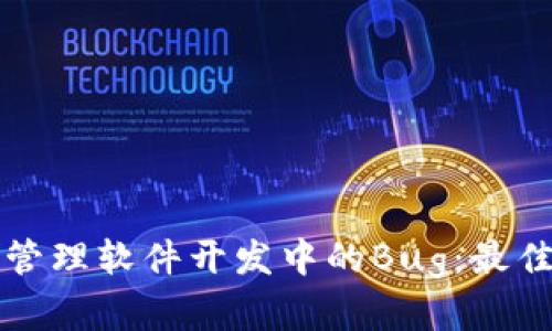 ### 如何有效管理软件开发中的Bug：最佳实践与解决方案
