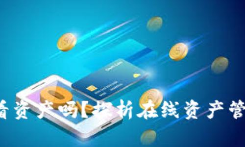 b特派能实时查看资产吗？探析在线资产管理的优势与前景