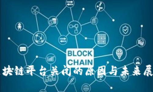 区块链平台关闭的原因与未来展望