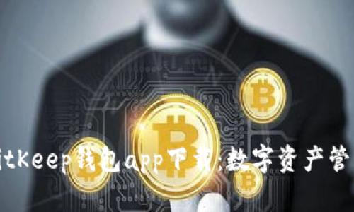 全面解析BitKeep钱包app下载：数字资产管理的新选择