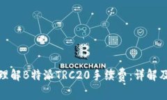 如何理解B特派TRC20手续费