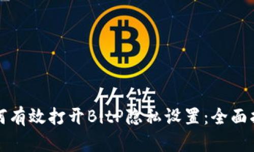 如何有效打开BitP隐私设置：全面指南
