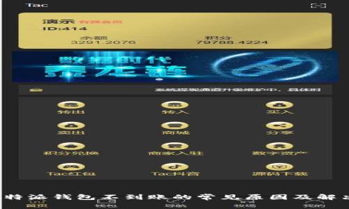 解析b特派钱包不到账的常见原因及解决方案