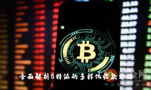 全面解析B特派的多样化收款方法