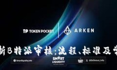 全面解析B特派审核：流程