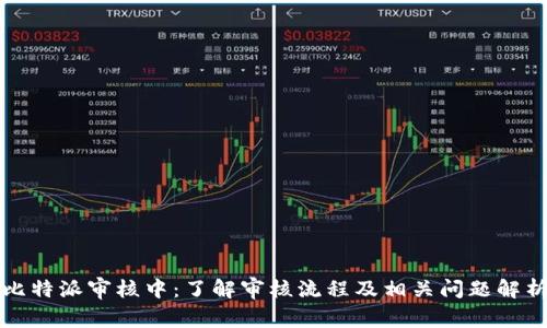 比特派审核中：了解审核流程及相关问题解析