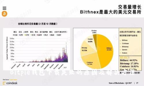 Bitpie钱包下载失败的原因及解决方法