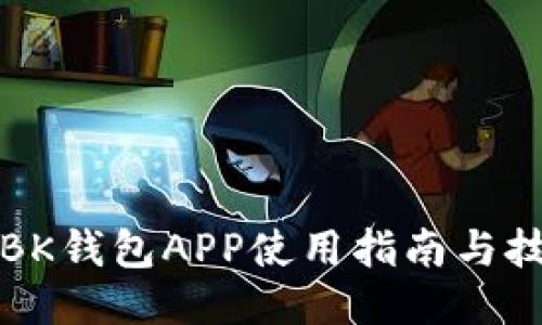 的BK钱包APP使用指南与技巧