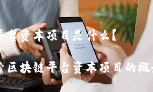 区块链平台资本项目是什么？

深入探索区块链平台资本项目的概念与应用