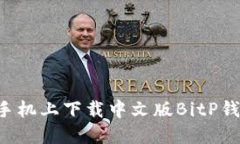 如何在苹果手机上下载中