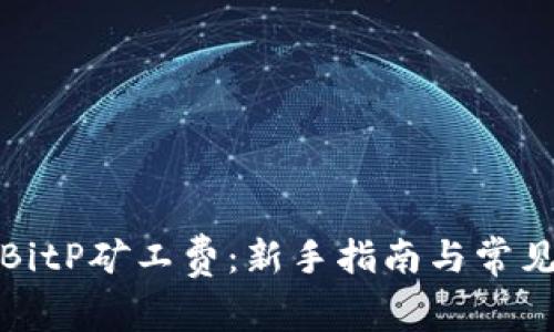 如何充值BitP矿工费：新手指南与常见问题解答