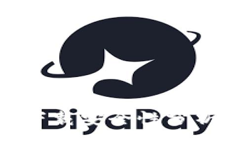 比特派app下载安全性分析及使用指南