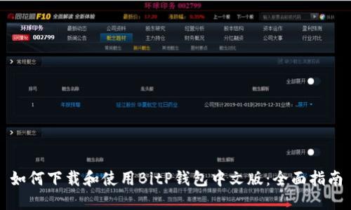 如何下载和使用BitP钱包中文版：全面指南