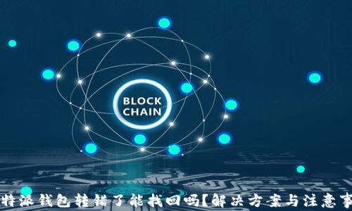 
比特派钱包转错了能找回吗？解决方案与注意事项