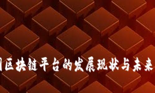 中国区块链平台的发展现状与未来展望